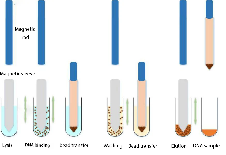 Figure 1. Schematic Diagram of the Working Principle of the Fully Automated Nucleic Acid Extraction Instrument