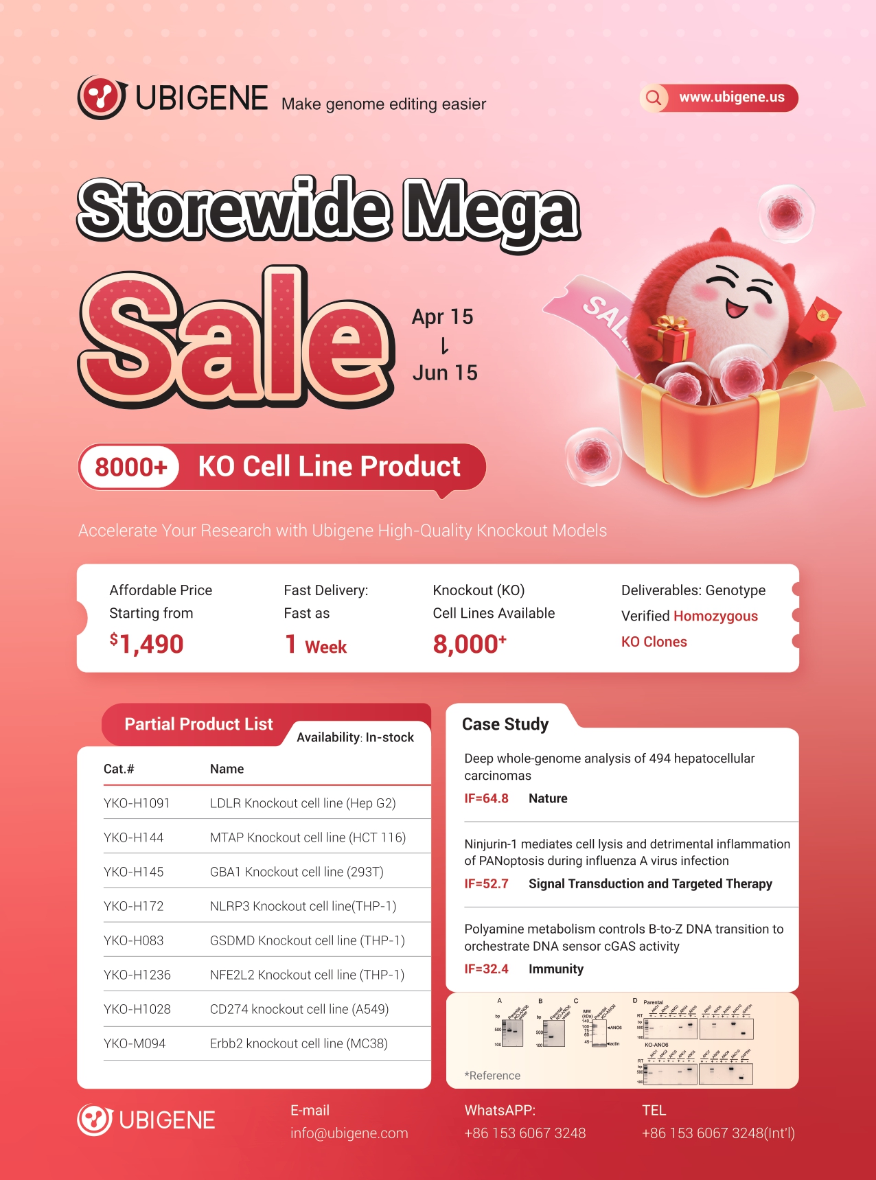 스페셜 할인 Products & Services!