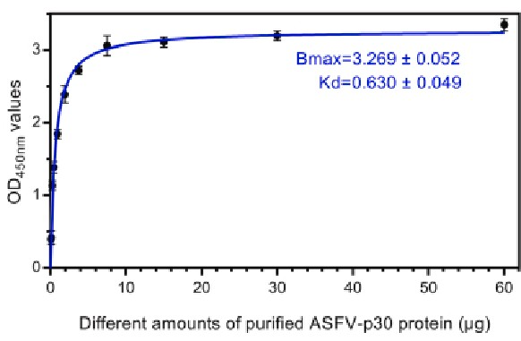 Anti-ASFV-p30 VHH-HRP ELISA