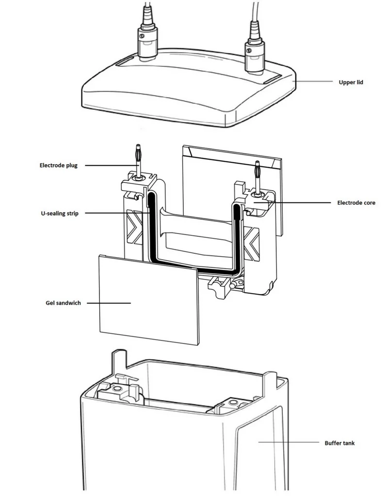 Figure 1: ES-PET4 electrophoresis installation