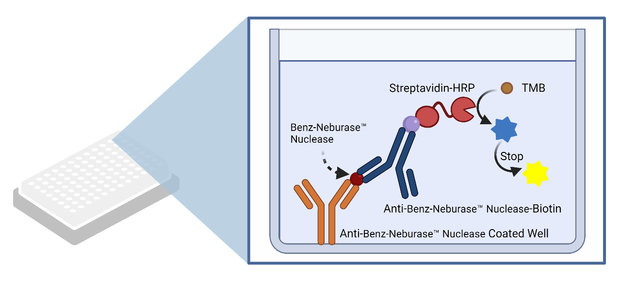 Benz-Neburase™ Nuclease ELISA Kit